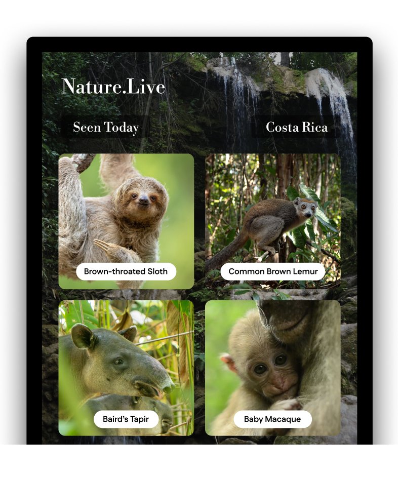 Wildlife collection grid