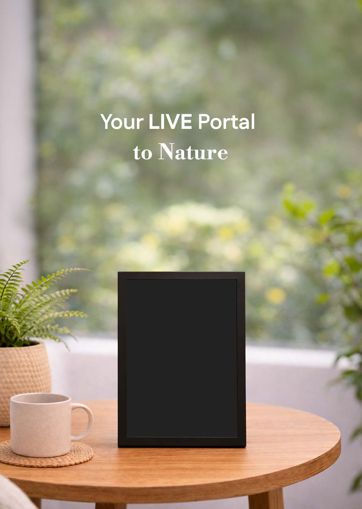 Nature background